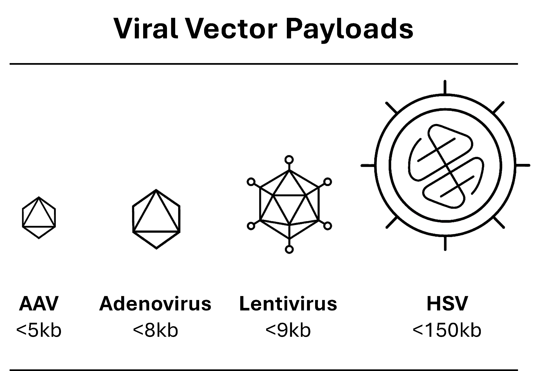 Viral vector payload comparison